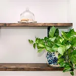 Casa Imperia 公寓 巴勒莫